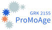 Logo DFG GRK ProMoAge